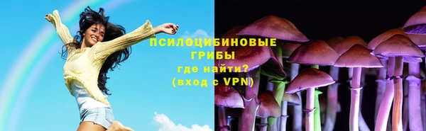 spice Алзамай