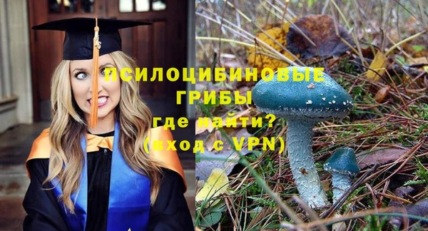 прущие крисы Алексеевка
