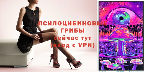 spice Алзамай