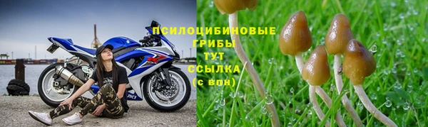 spice Алзамай