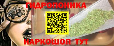 СК Донецк