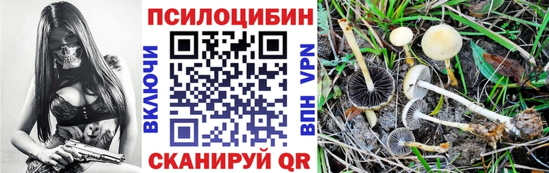 где найти   Серов  Псилоцибиновые грибы ЛСД 